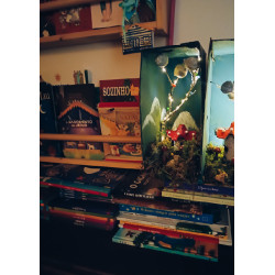 O Livro Mágico- Oficina em Casa