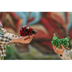 Kit Bolotas e Bugalhos