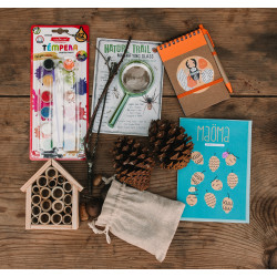 Kit Bolotas e Bugalhos